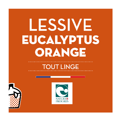 Lessive liquide - Tout linge - Eucalyptus &amp; Orange - Savons Arthur - BIB10L