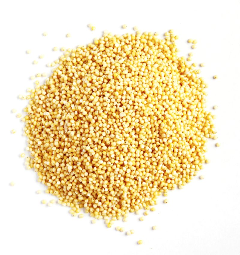 Millet décortiqué - Bio - 10kg