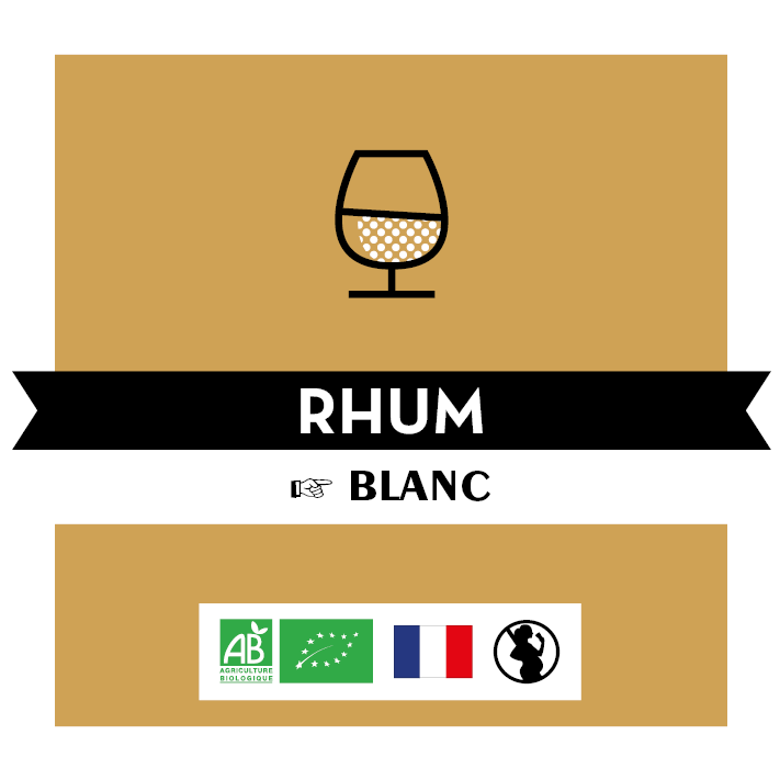 [JB0031BDN05] Rhum Blanc biologique 40% - Bio - BIDON 5L