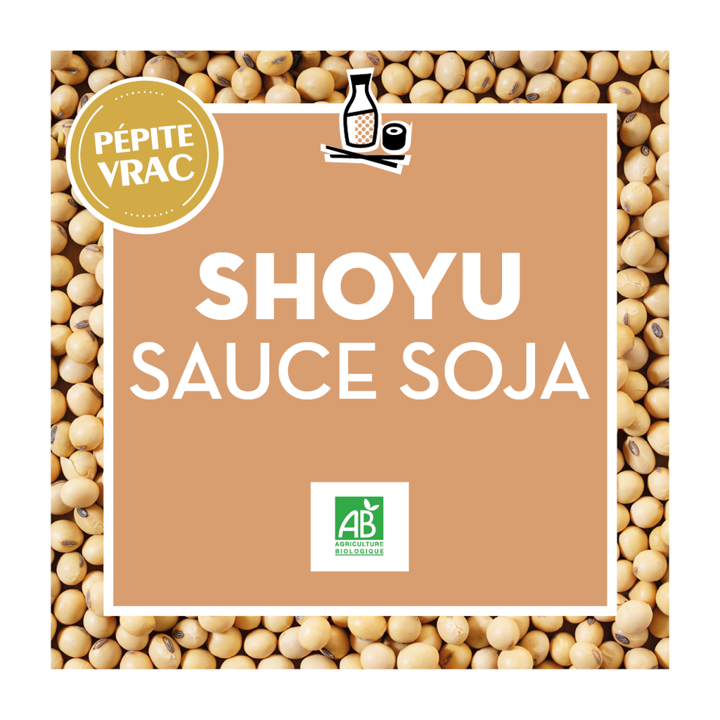 [JB0067BIB05] Shoyu sauce Soja - Bio - BIB5L